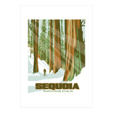 Sequoia National Park Poster (Print Only) thumbnail