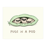 Pugs In A Pod (Print Only) thumbnail