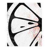 Citrus Collection No6 (Print Only) thumbnail