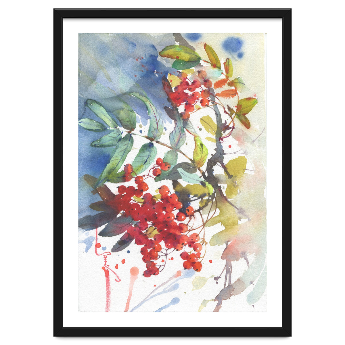 Viburnum / Guelder rose