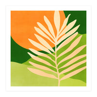 Sunny Palm Frond (Print Only)