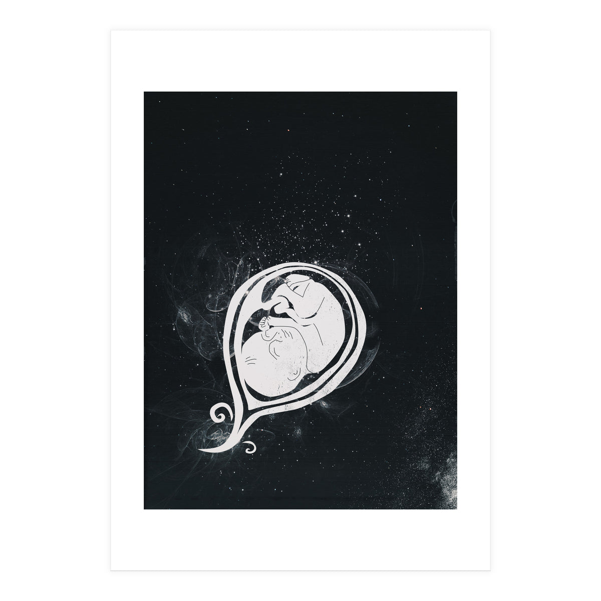 Baby Cosmos (Print Only)