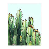 Cactus Love (Print Only) thumbnail