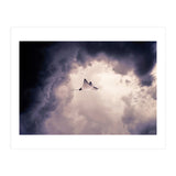 Lltt (Print Only) thumbnail