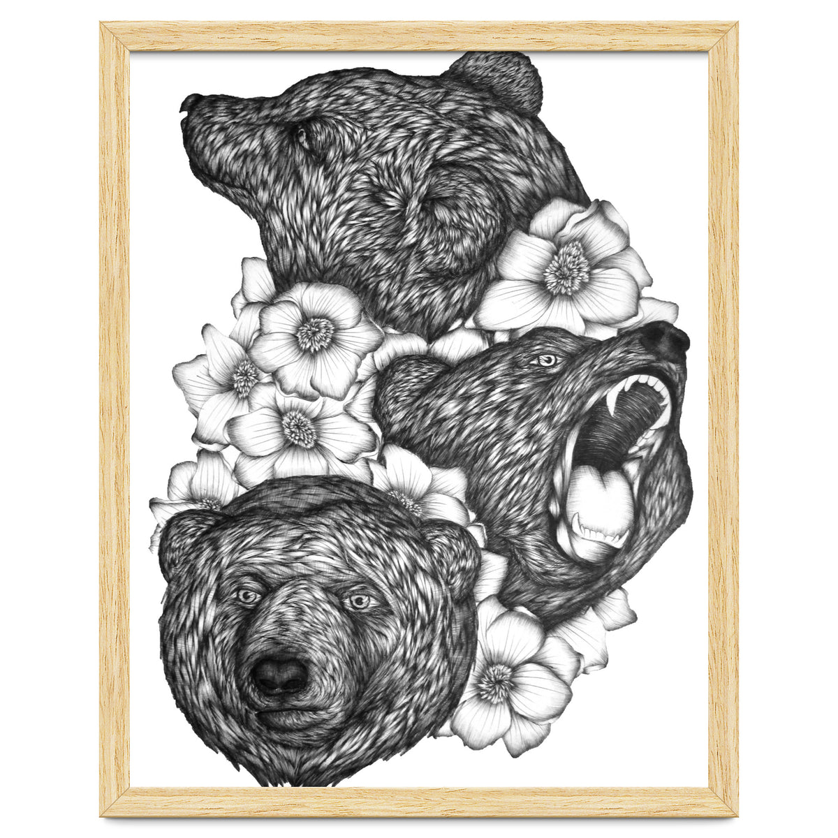 Bears In Bears