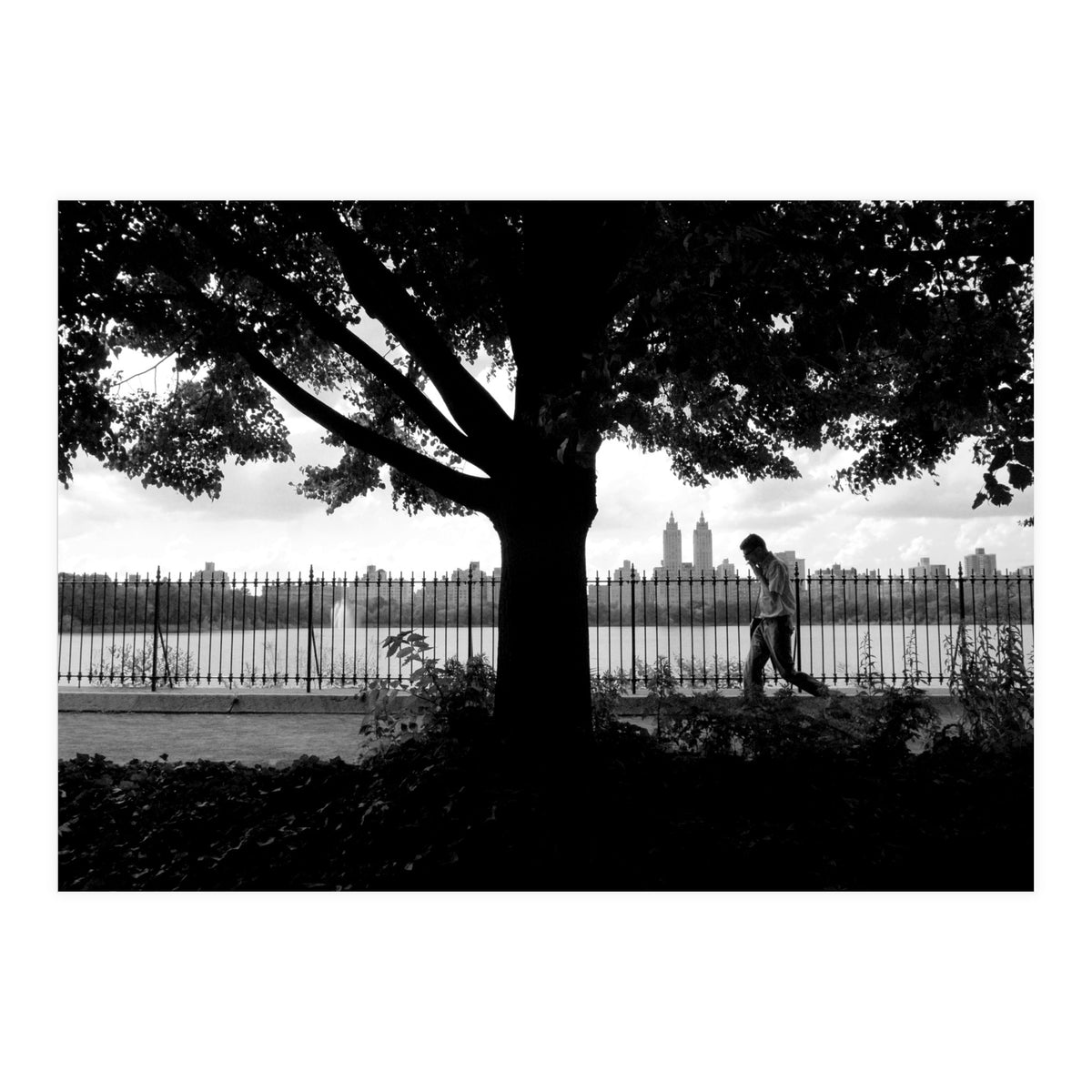 Central Park, New York City (Print Only)