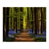 The Path To Light (Print Only) thumbnail