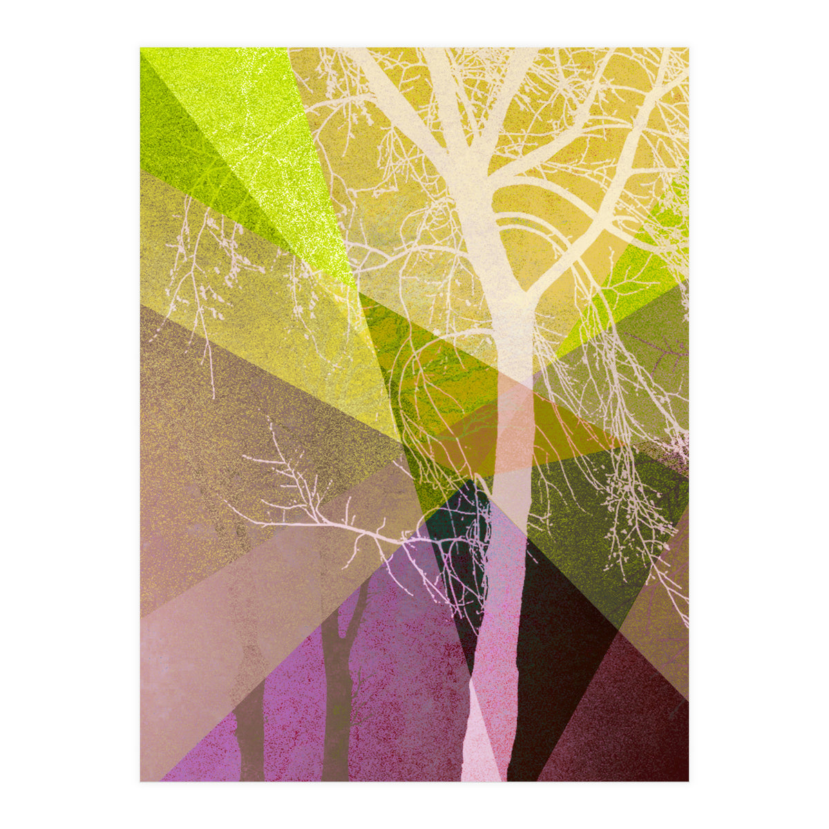 P22 A Trees And Triangles (Print Only)