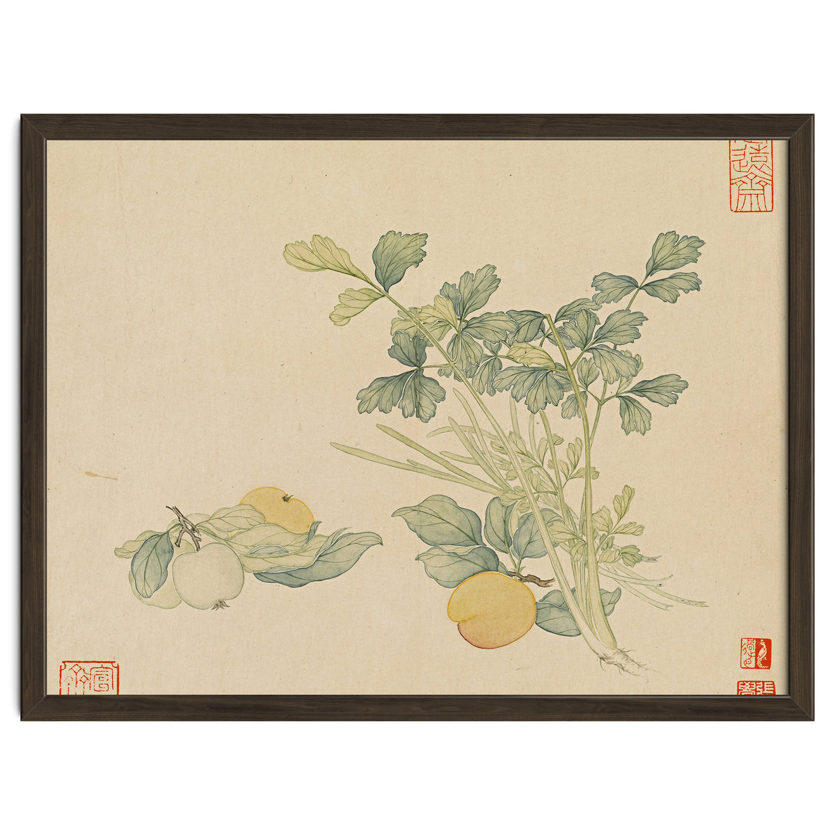 Wang Chengyu~flowers And Vegetables, Vegetables, Fruits, Plums, Apricots, Celery