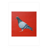 Pigeon (Print Only) thumbnail