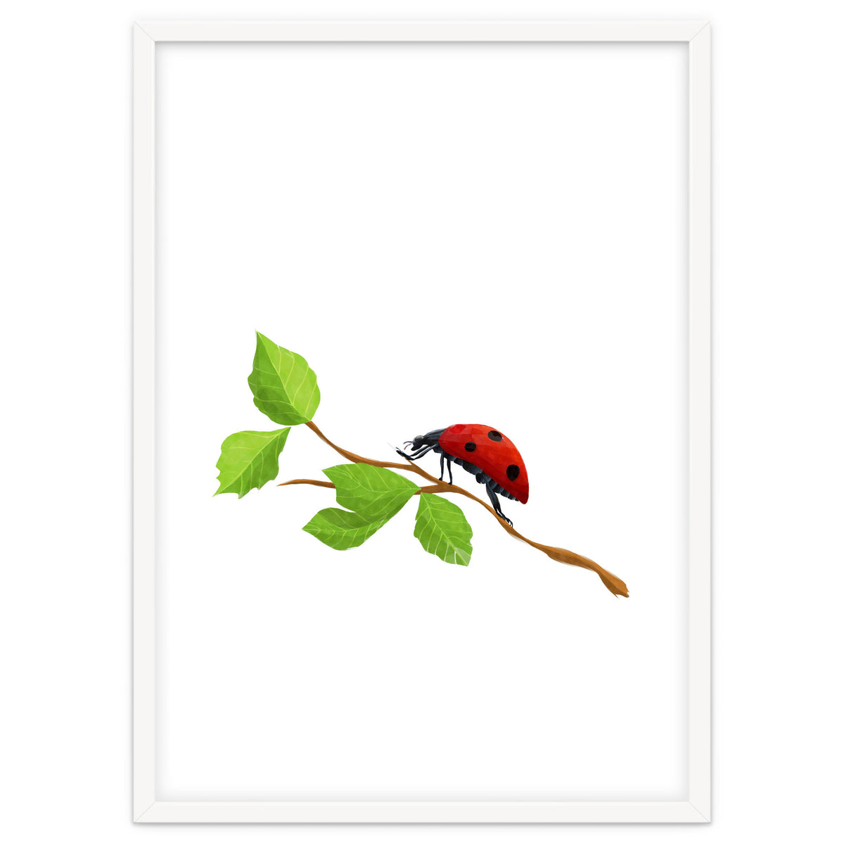 Ladybug