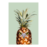 Pineapple Owl (Print Only) thumbnail