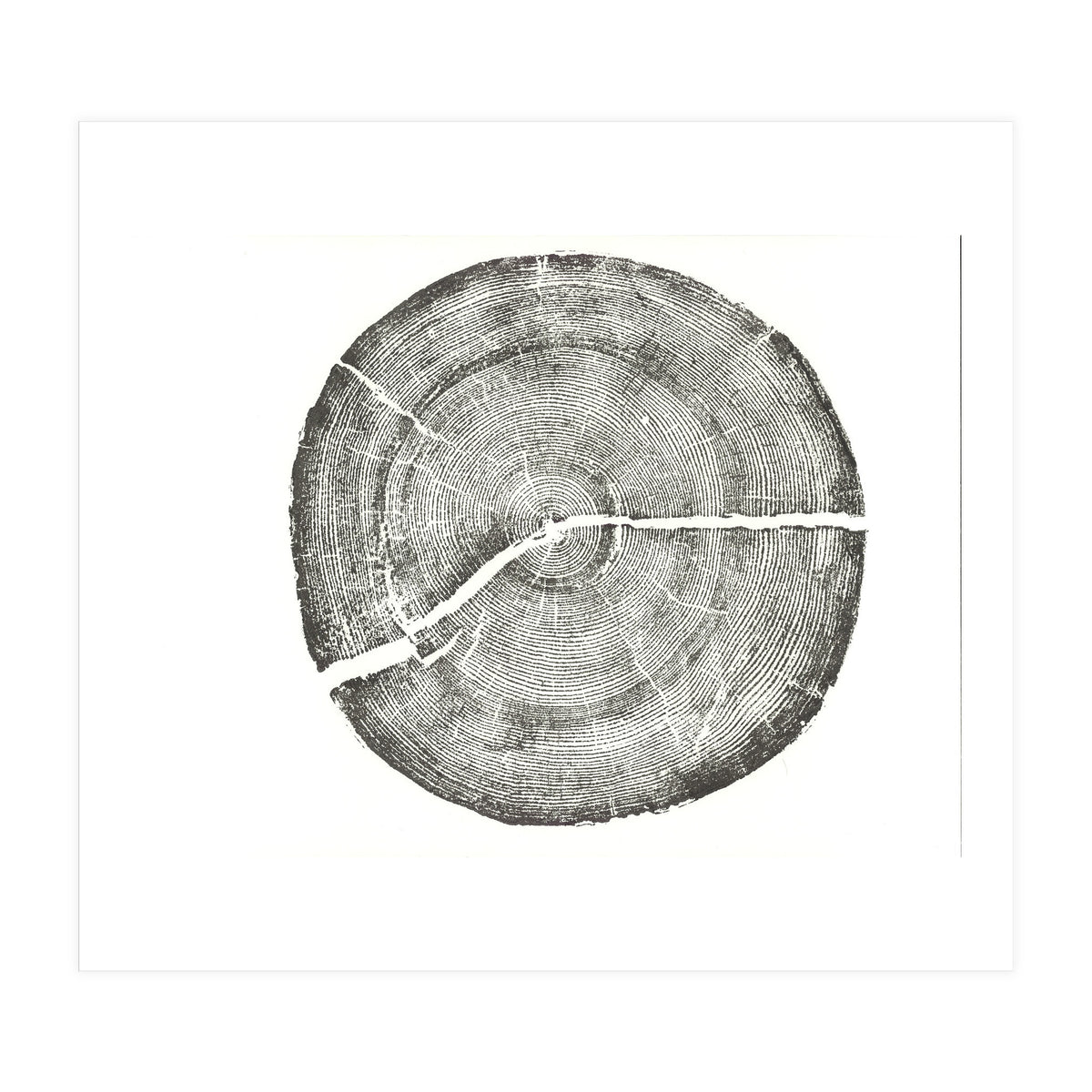 Rock Canyon, Tree Ring Print, Woodblock (Print Only)