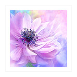 Wispy Purple Anemone (Print Only) thumbnail
