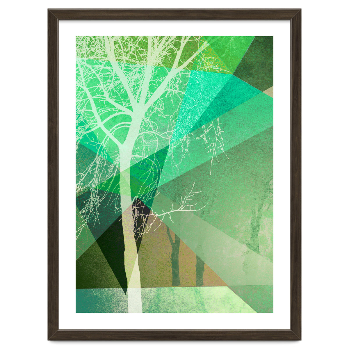 P22 B Trees And Triangles