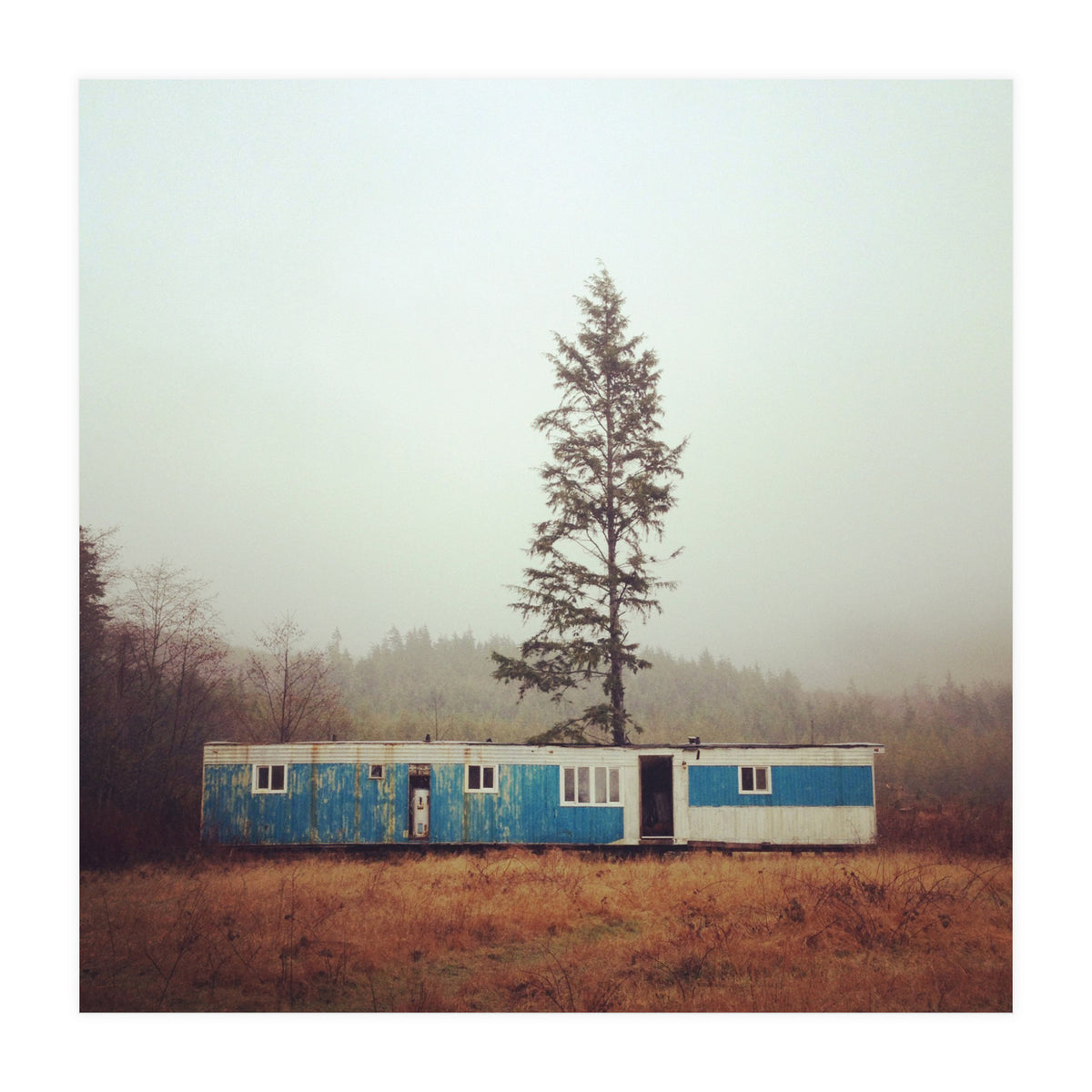 Forks Washington (Print Only)