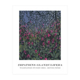 Impatiens Glandulifera (Print Only) thumbnail