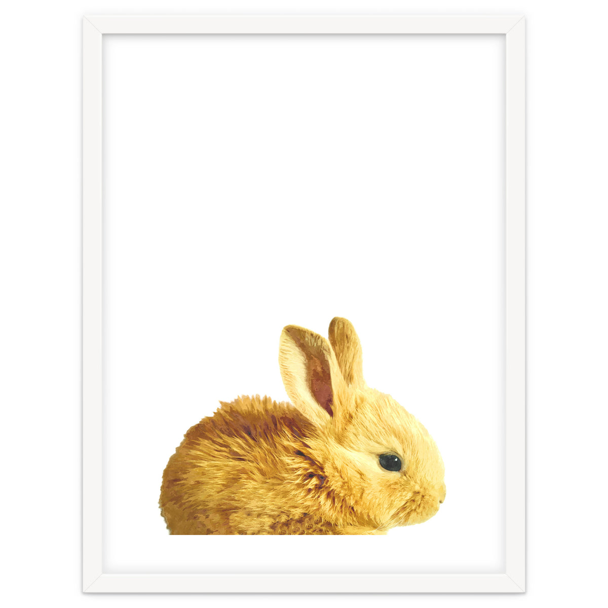 Bunny Portrait