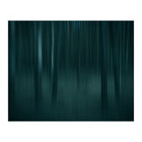 transience  (Print Only) thumbnail