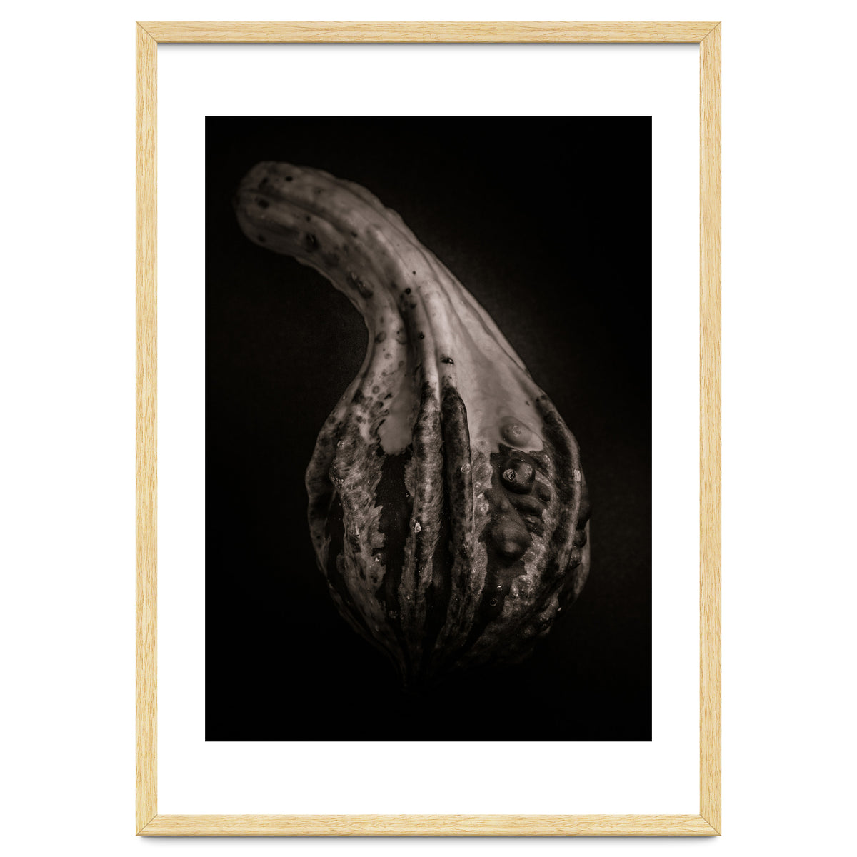 Gourds No 2