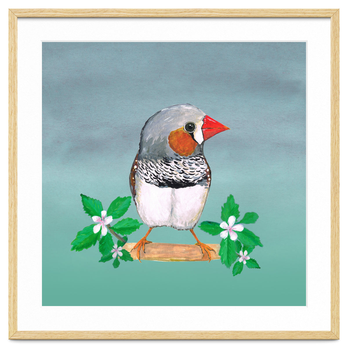 Zebra finch
