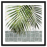 Palm Leaves On White Marble And Tiles