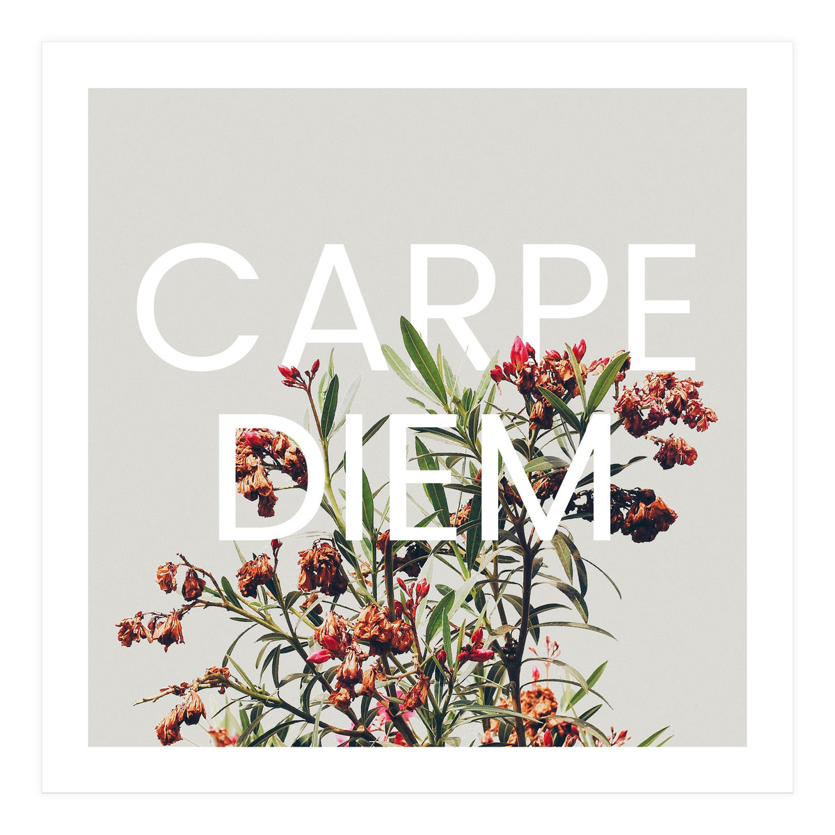 Carpe Diem (Print Only)