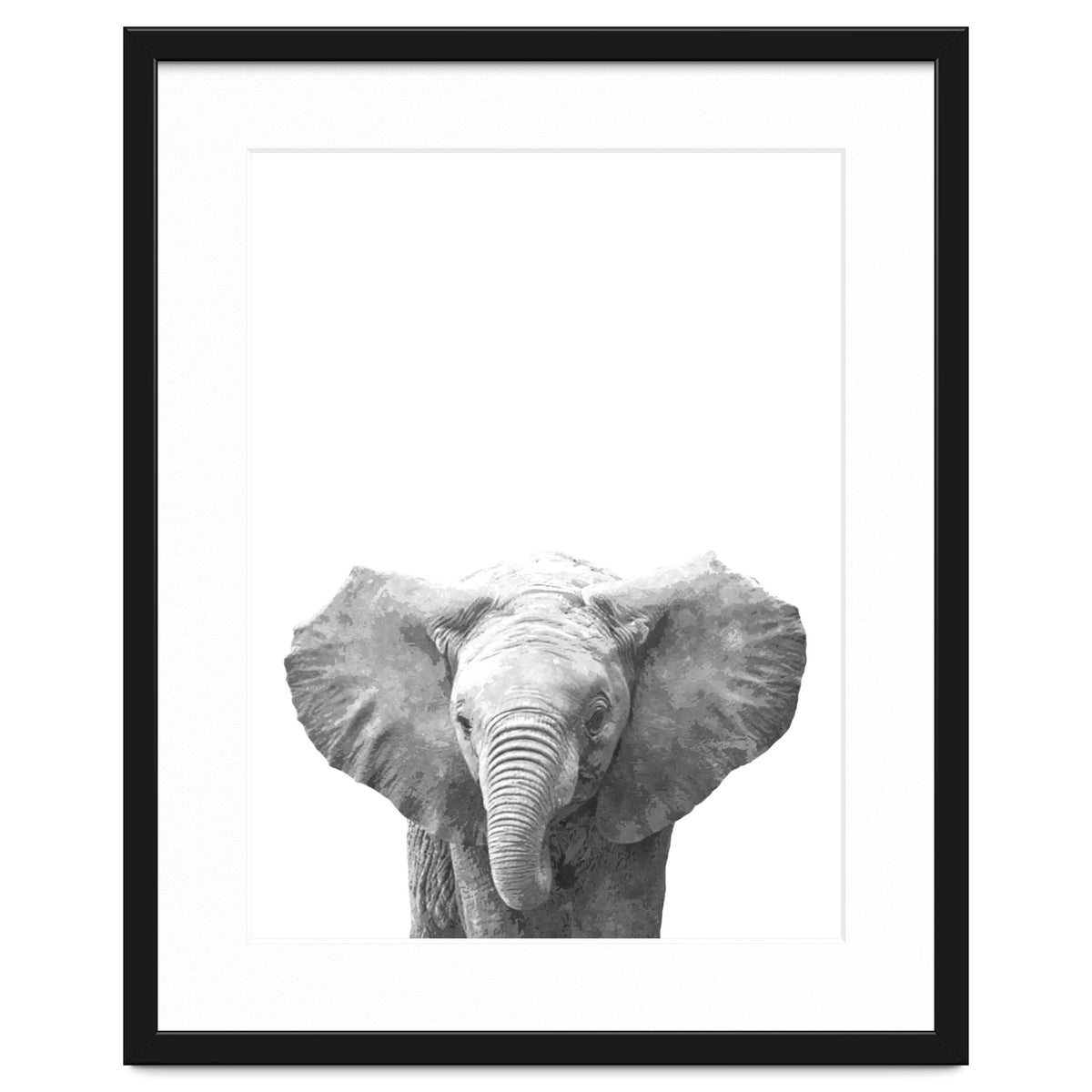 Black and White Baby Elephant