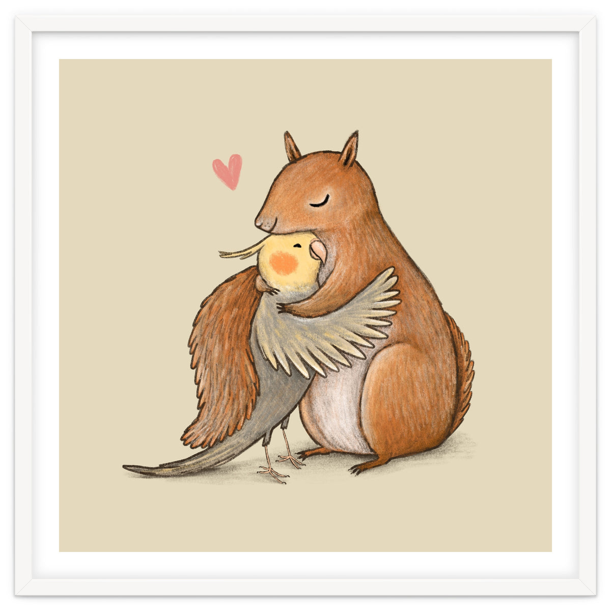 Cockatiel And Squirrel
