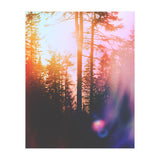 Finding Light (Print Only) thumbnail