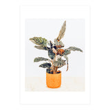 Botany II (Print Only) thumbnail