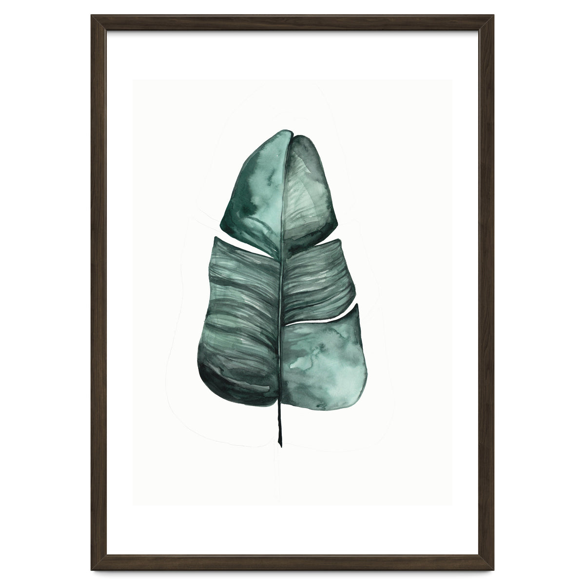 Botanical Illustration Banana Leaf