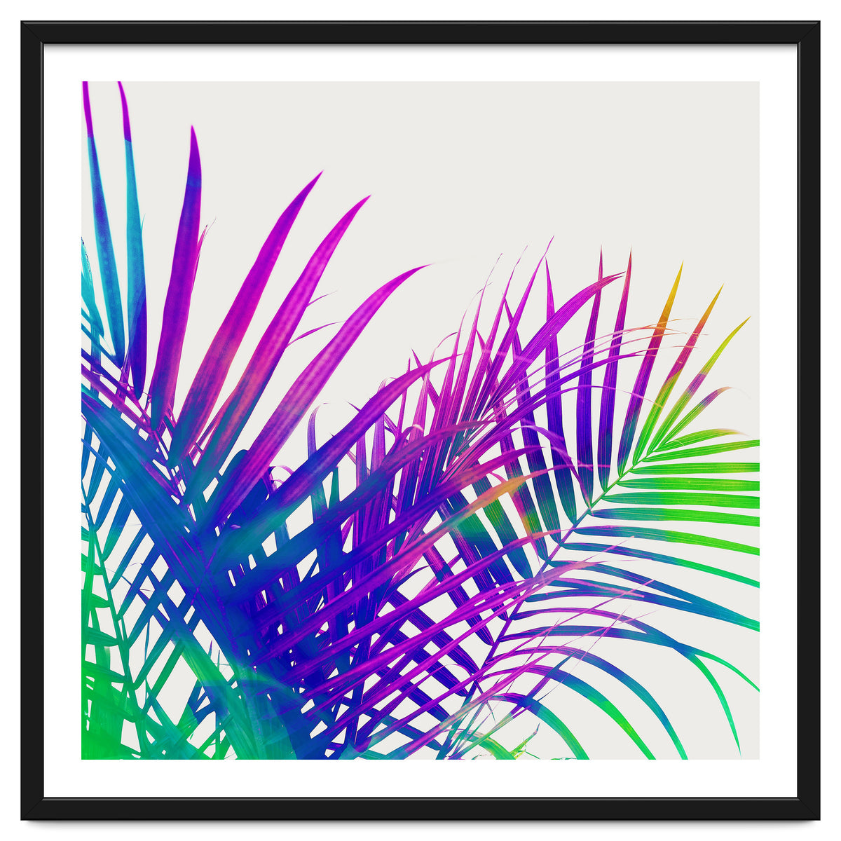 Colorful Palm