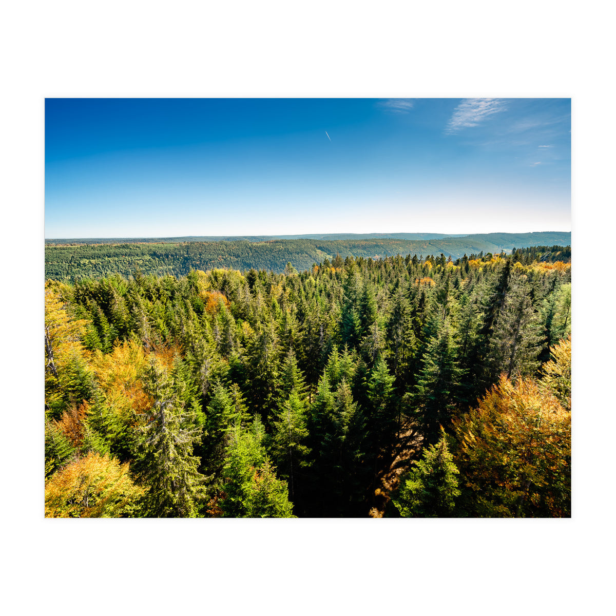 Black In Color (Print Only)