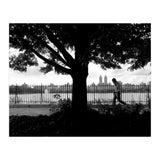 Central Park, New York City (Print Only) thumbnail