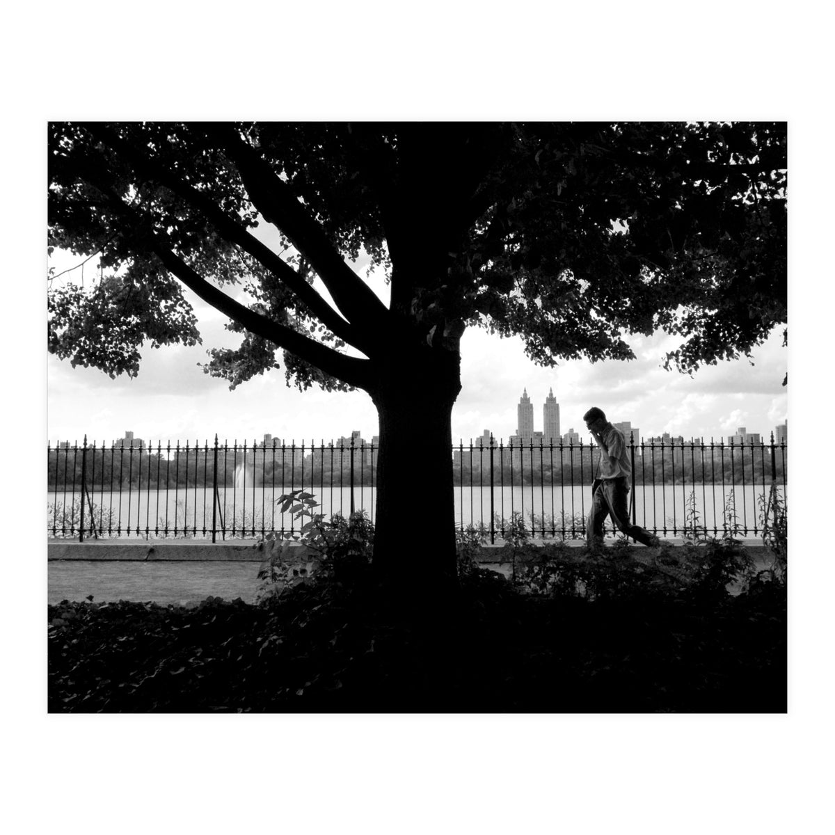 Central Park, New York City (Print Only)