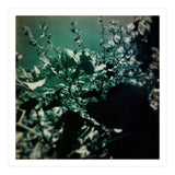GREEN POEM (Print Only) thumbnail