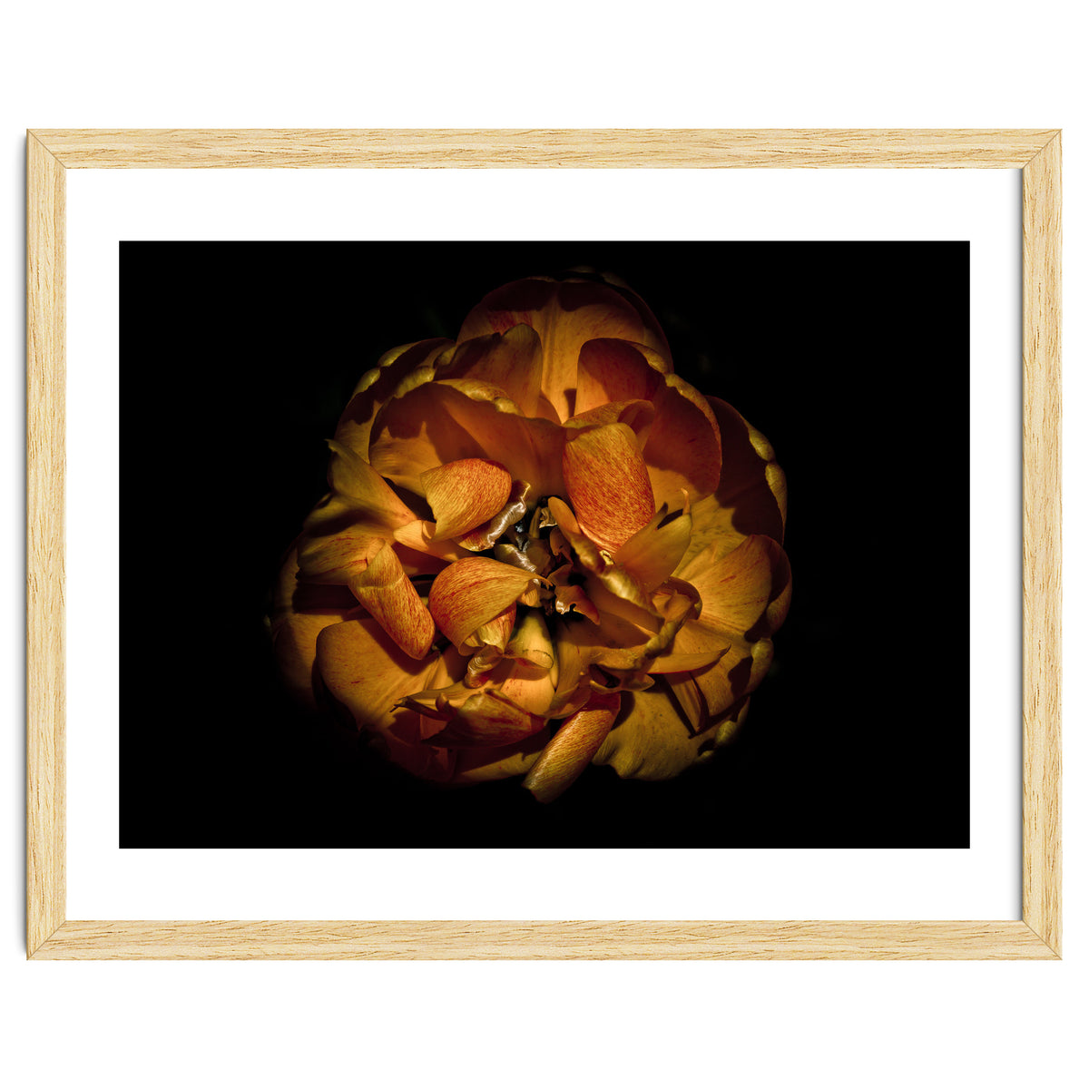 Backyard Flowers No 80 Color Version