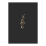 Gold Rush Botanicals (Print Only) thumbnail