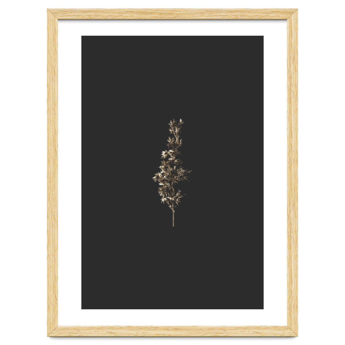 Gold Rush Botanicals