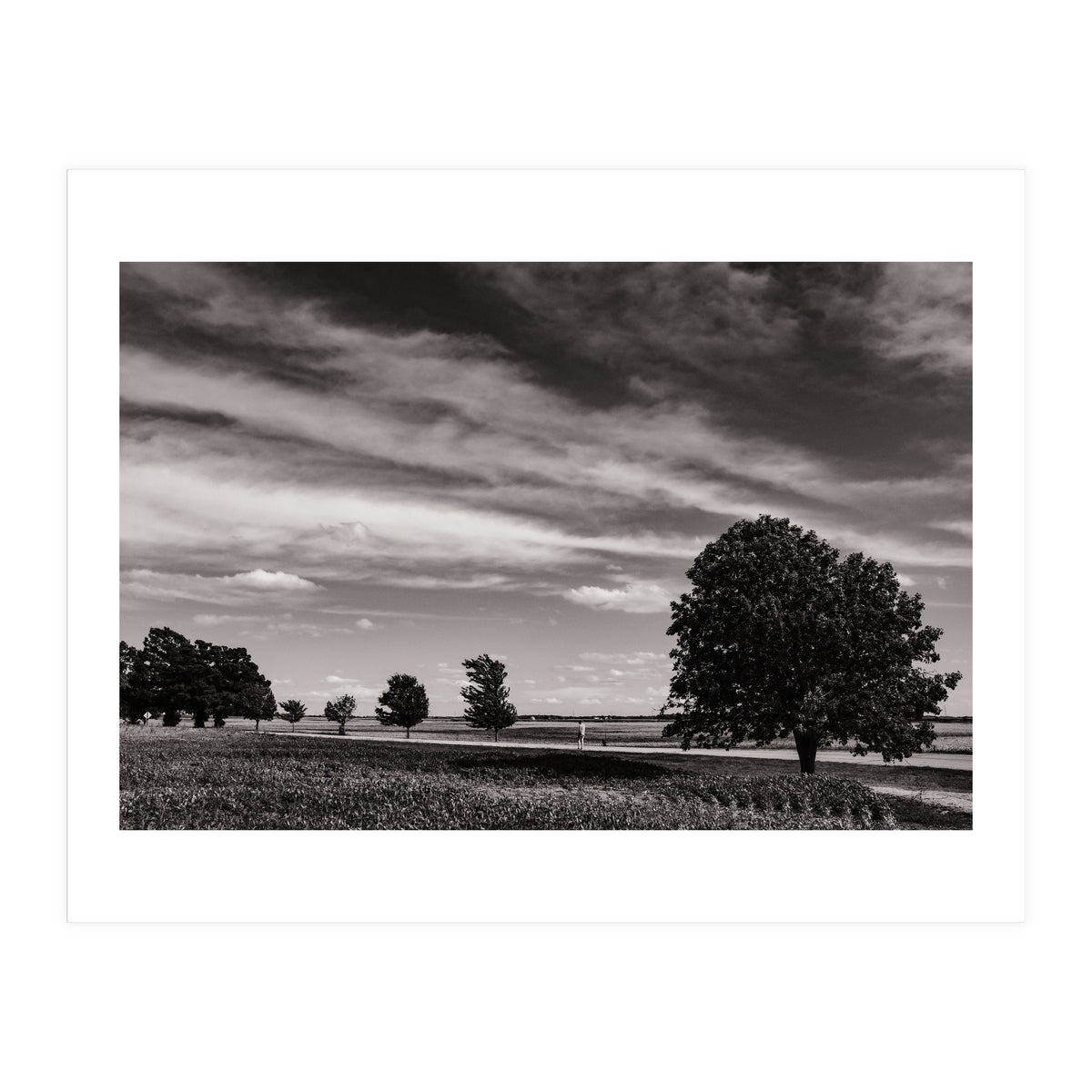 Country Road, Illinois  (Print Only)
