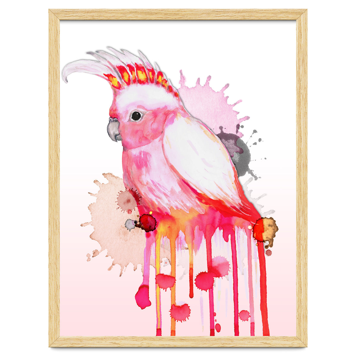 Major Mitchell's cockatoo