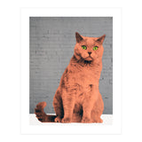 Everybody Wants To Be A Cat  (Print Only) thumbnail