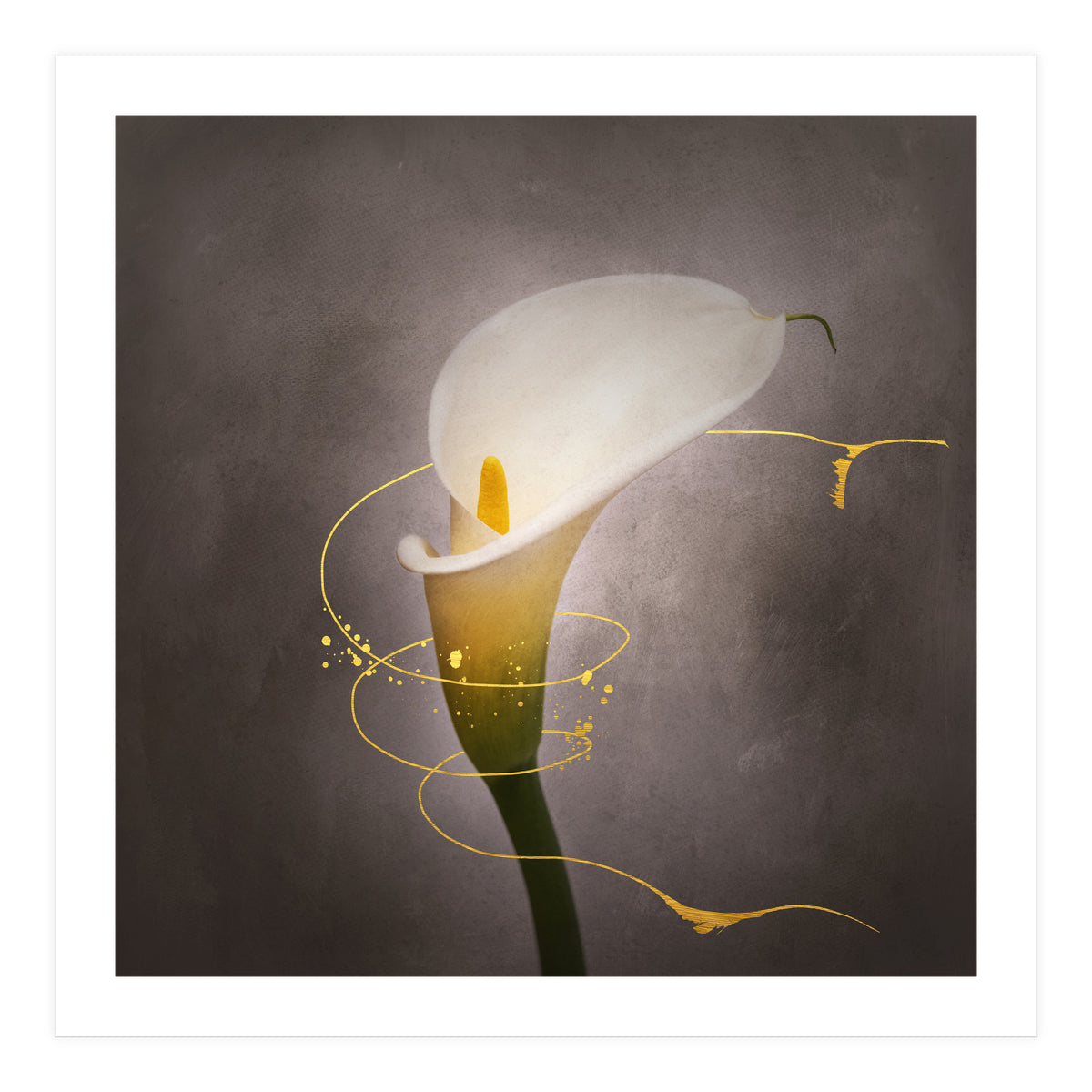 Graceful flower - Calla No. 4 | vintage style gold (Print Only)