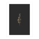 Gold Rush Botanicals (Print Only) thumbnail