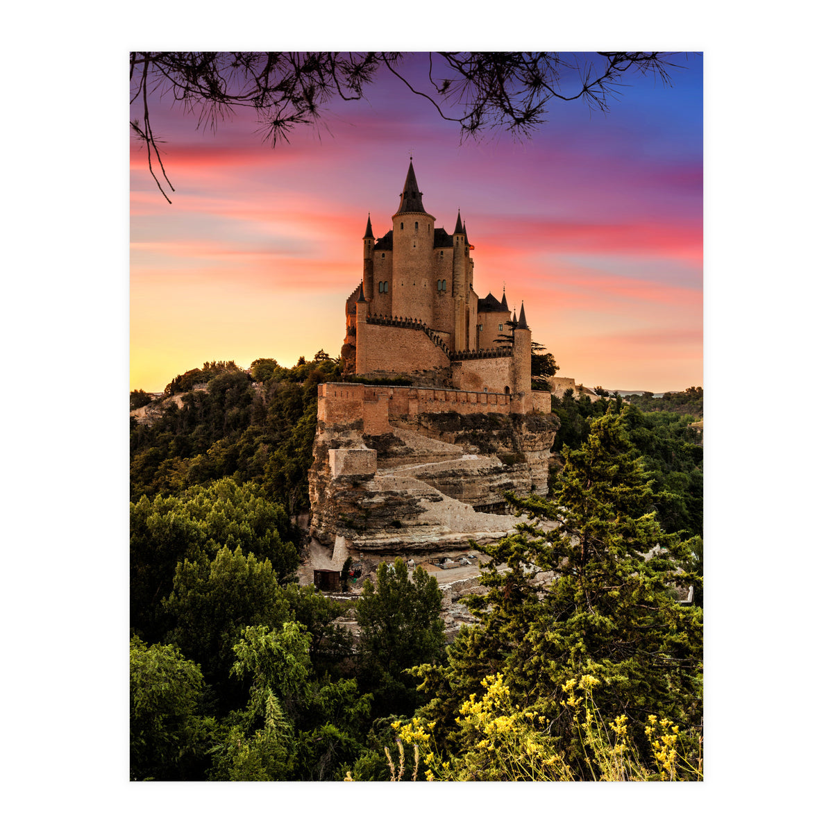 Daydream (Print Only)