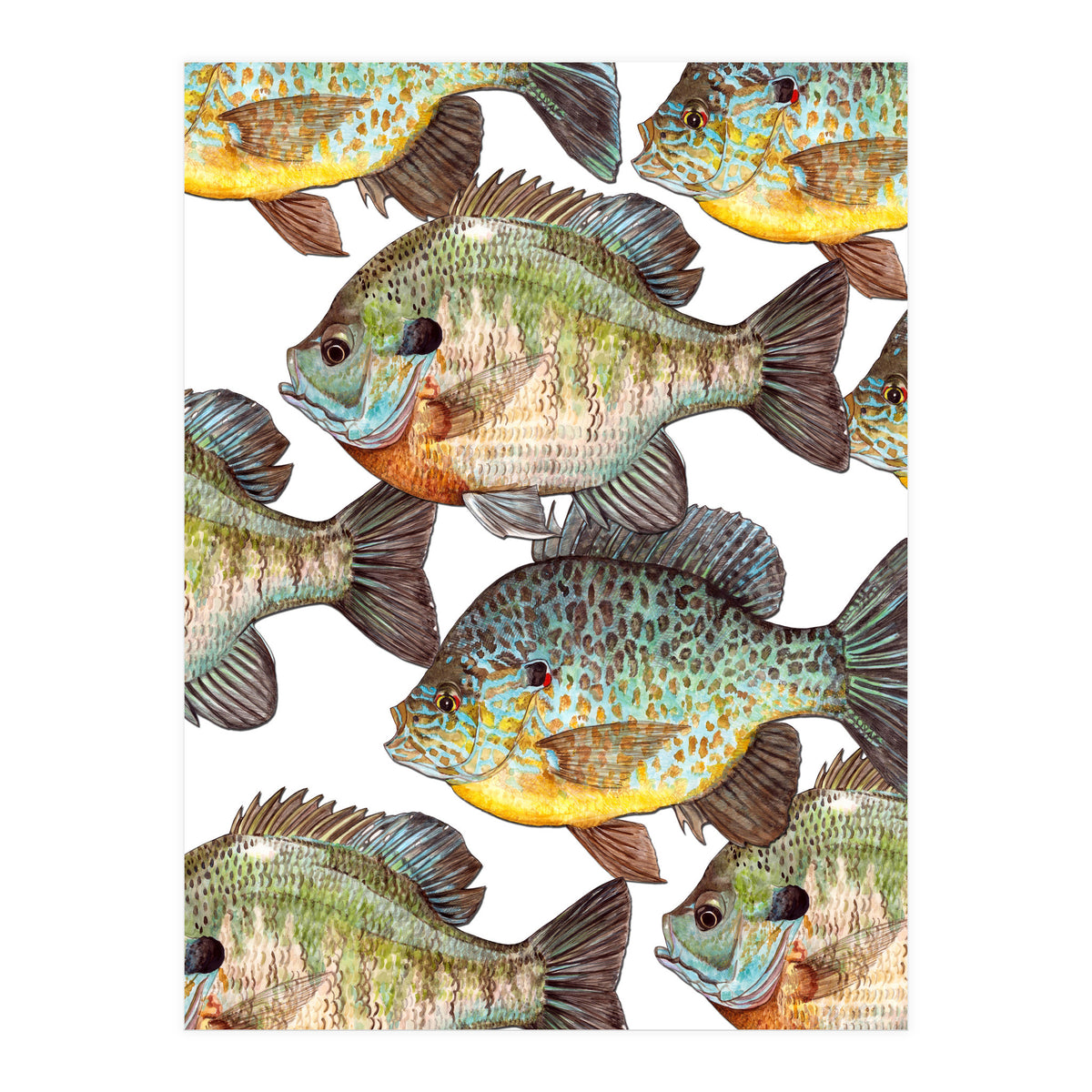 Lake Sunfish (Print Only)