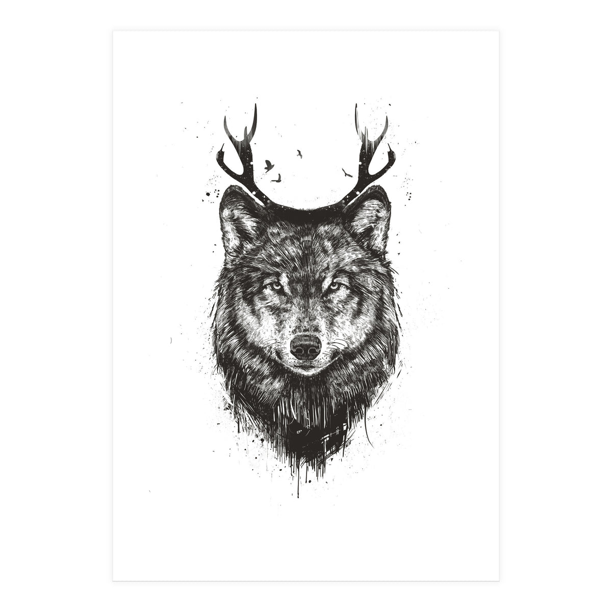 Deer Wolf Bw (Print Only)