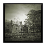 Gesto House (Print Only) thumbnail