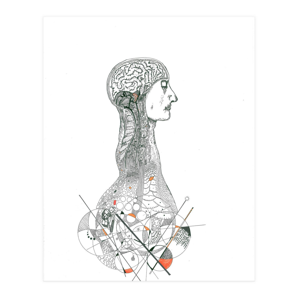 Anatomy (Print Only)